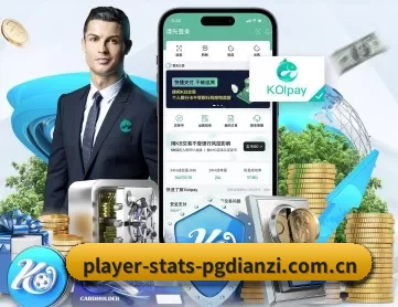 PG模拟器 APP 深度功能